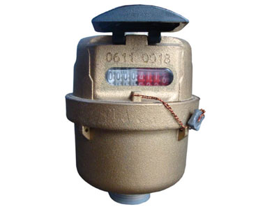 rotary piston water meter