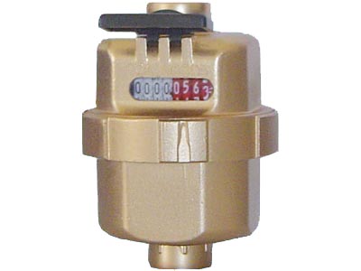 rotary piston water meter